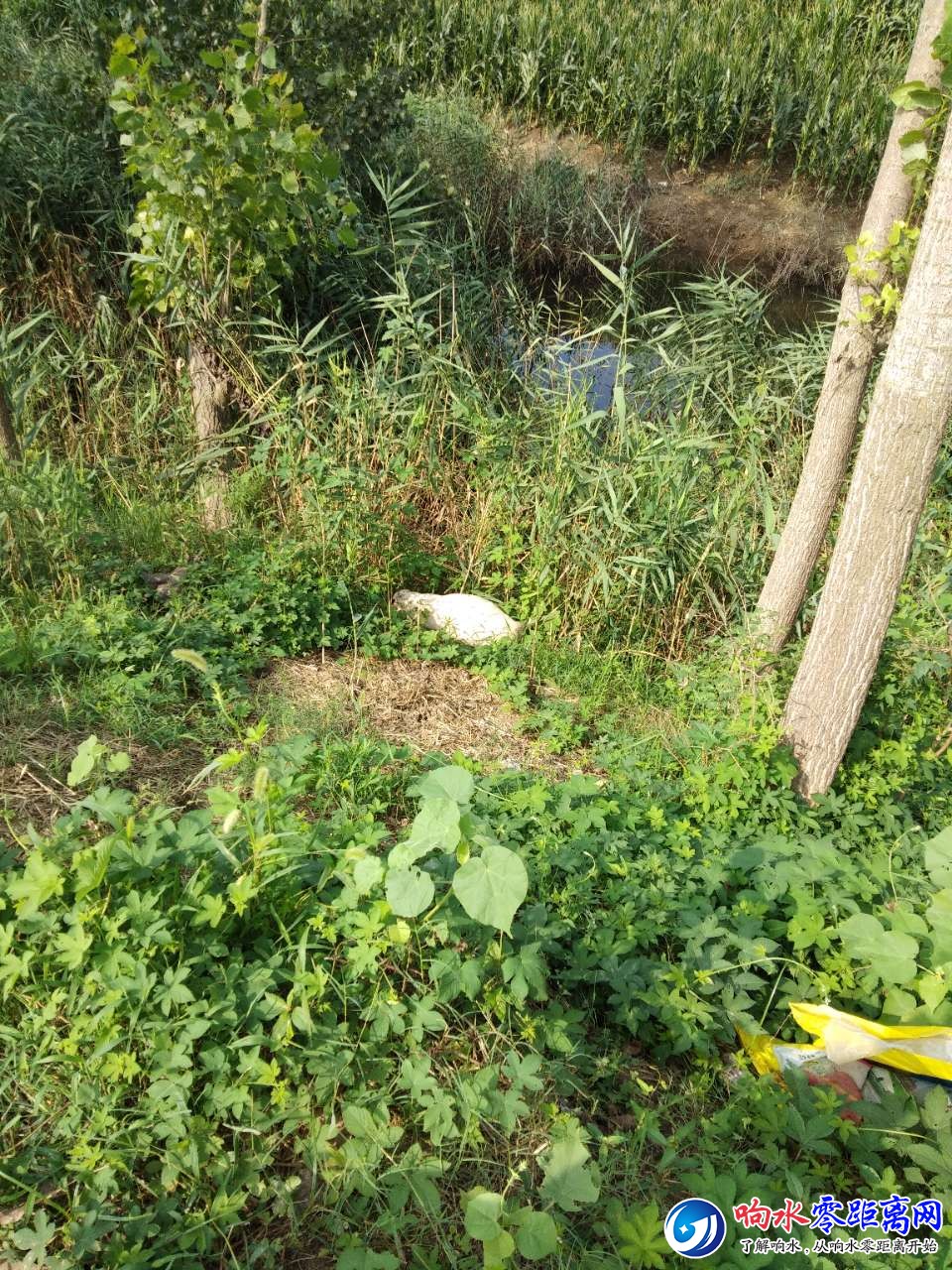 20190815_107851_1565829838906.jpg
