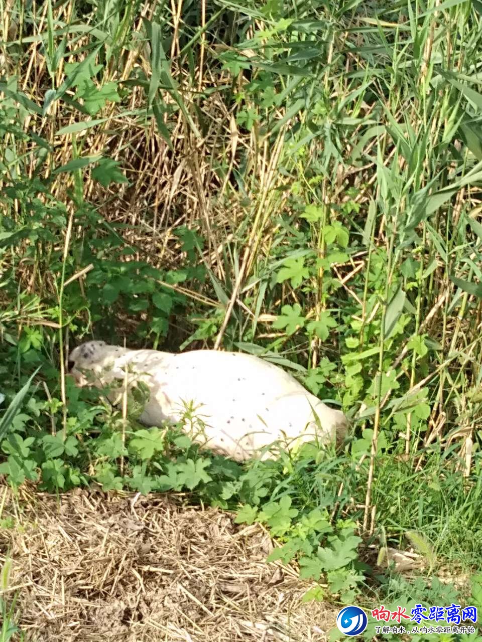 20190815_107851_1565829838337.jpg