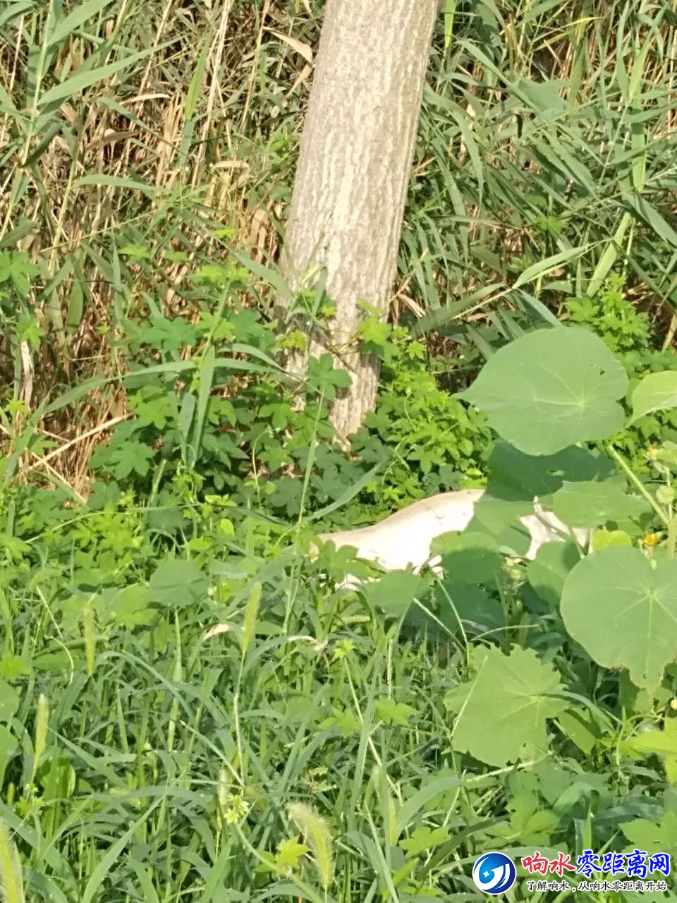 20190815_107851_1565829837845.jpg