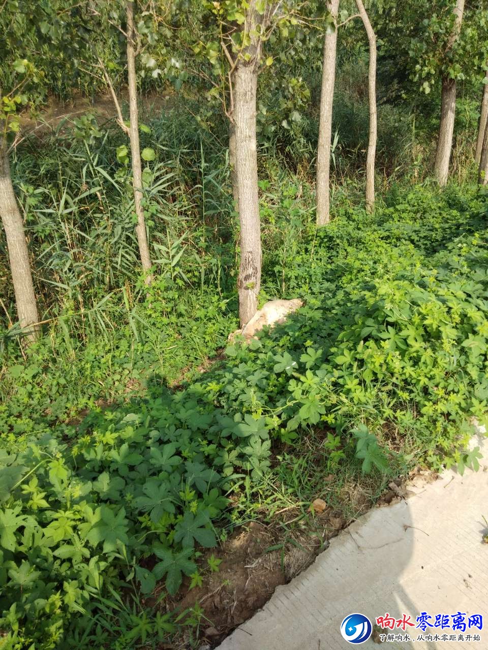 20190815_107851_1565829839575.jpg