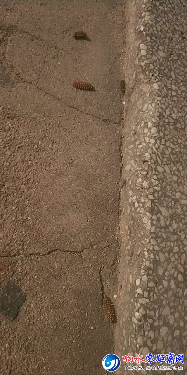 20190822_105108_1566462490983.jpg