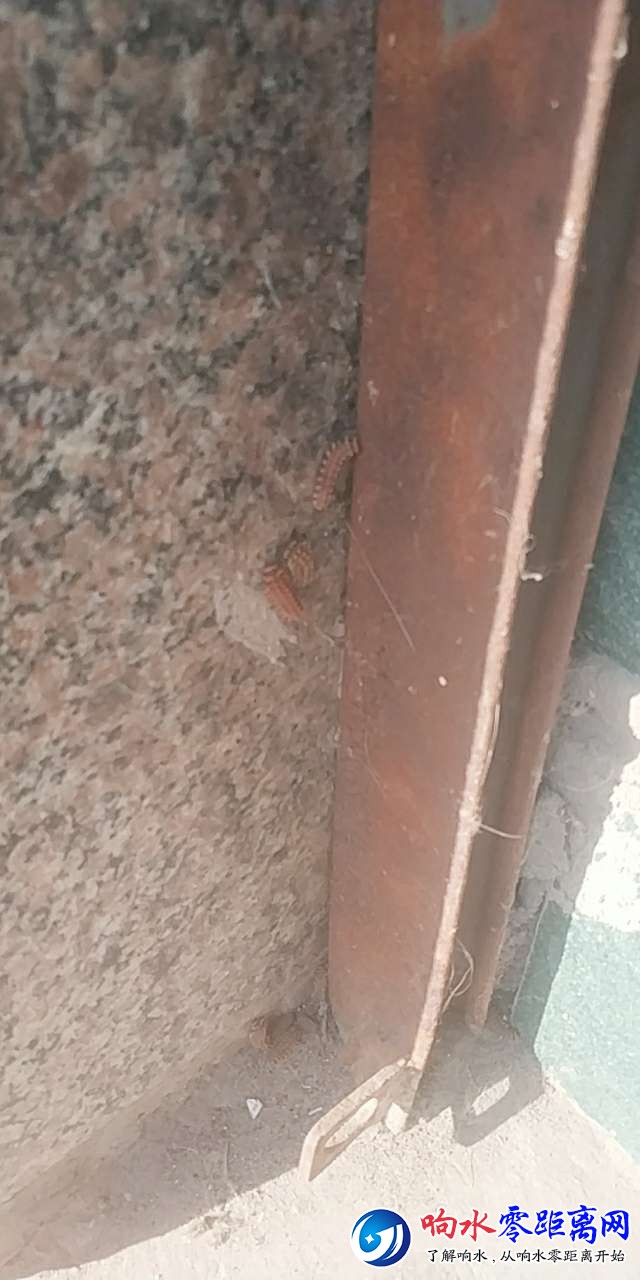 20190822_105108_1566462491089.jpg