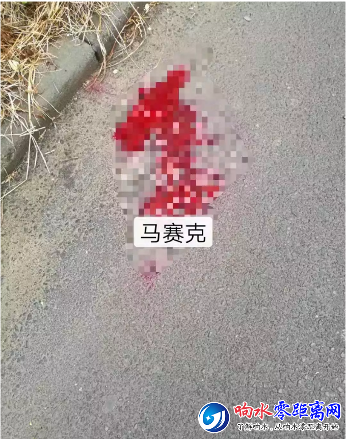 ΢Žͼ_20190829132912.png