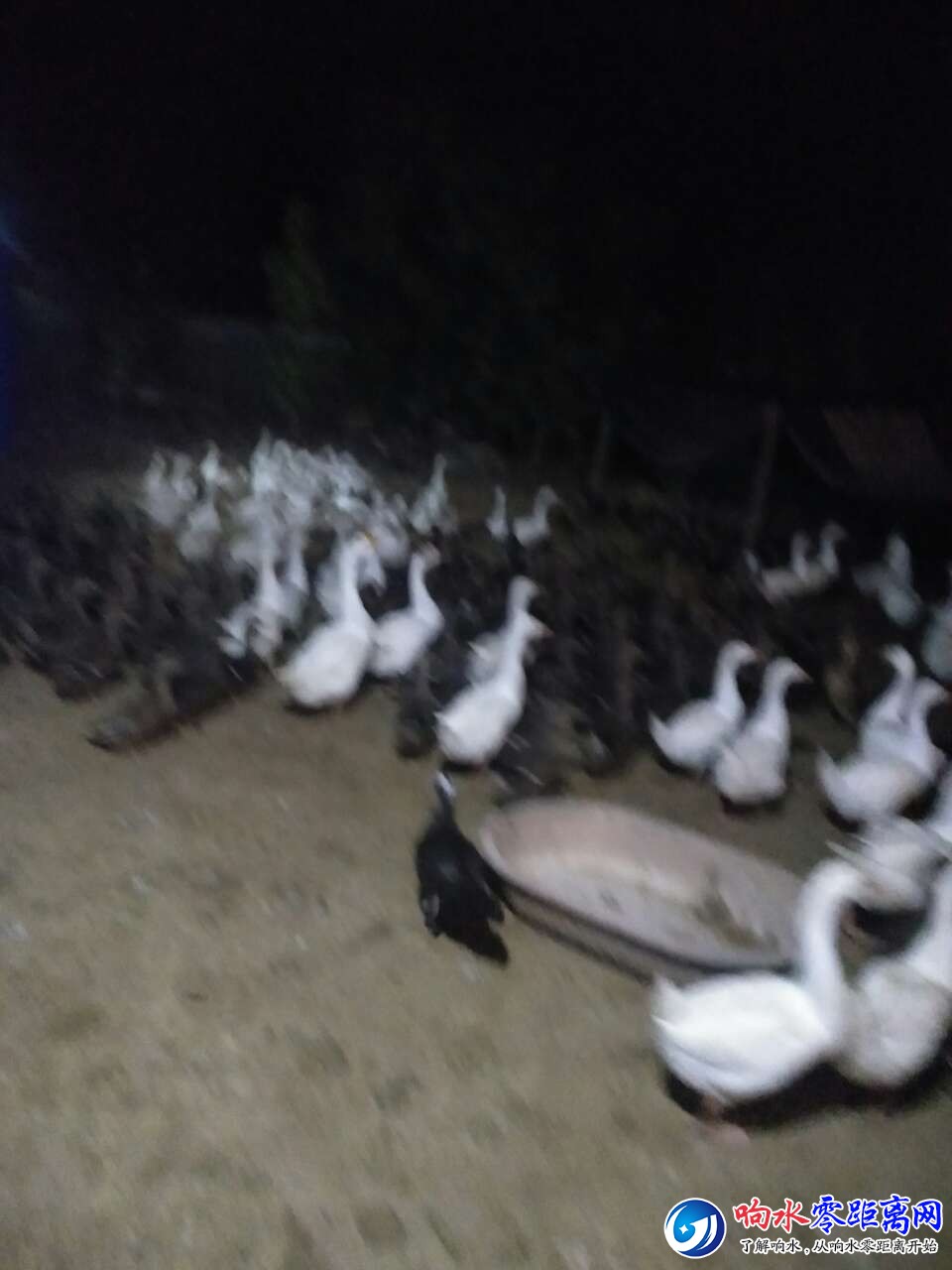 20190909_123396_1568030734674.jpg