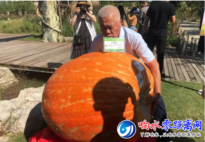 ΢Žͼ_20190924090303.png