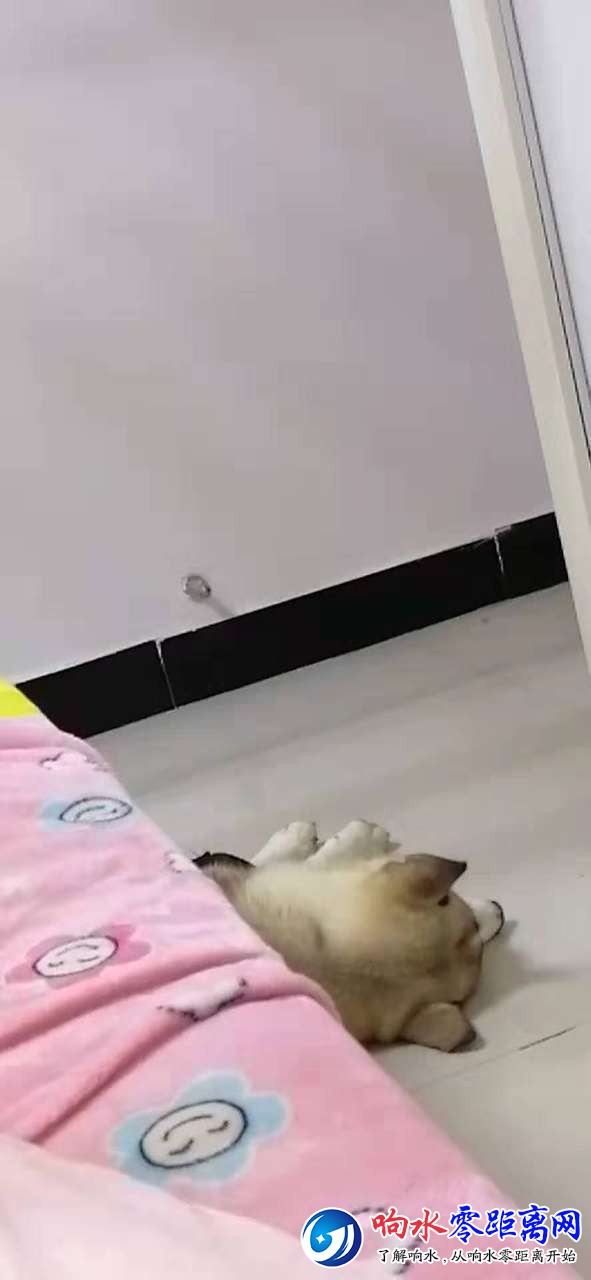 20191014_114659_1570988269241.jpg