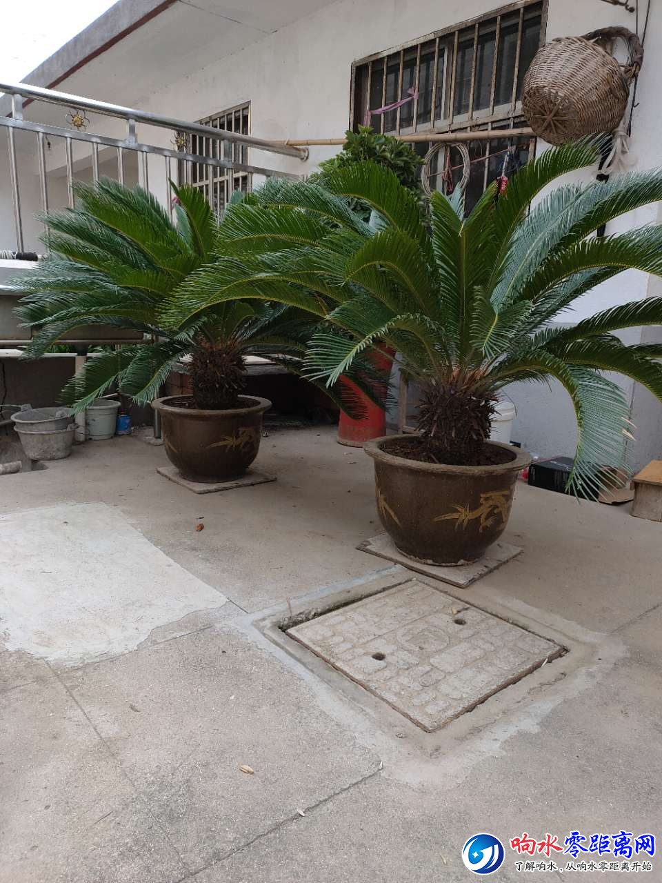 20191022_120264_1571717299607.jpg