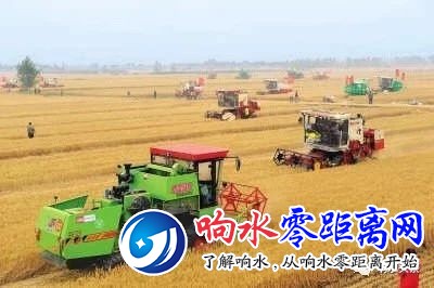 cd2d62deccaa6f69000a66865d3b525f.jpg