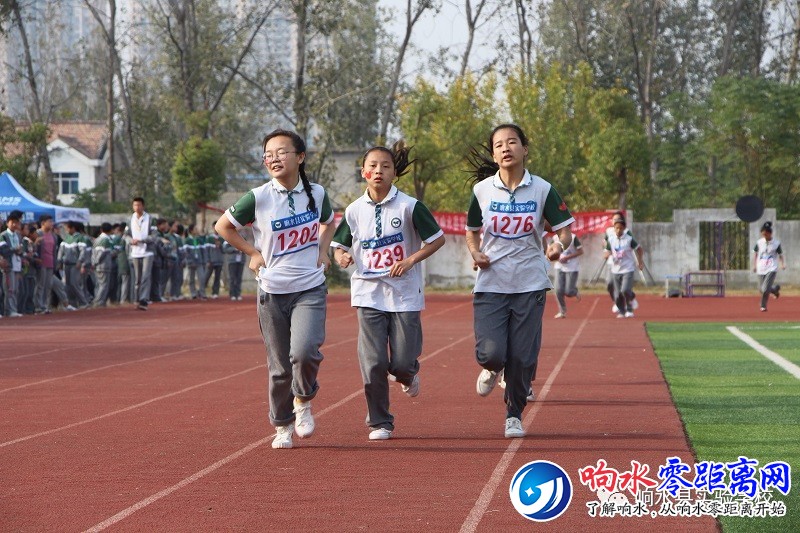 4fe4ff3fc12422e00f509f71dd8aead3.jpg