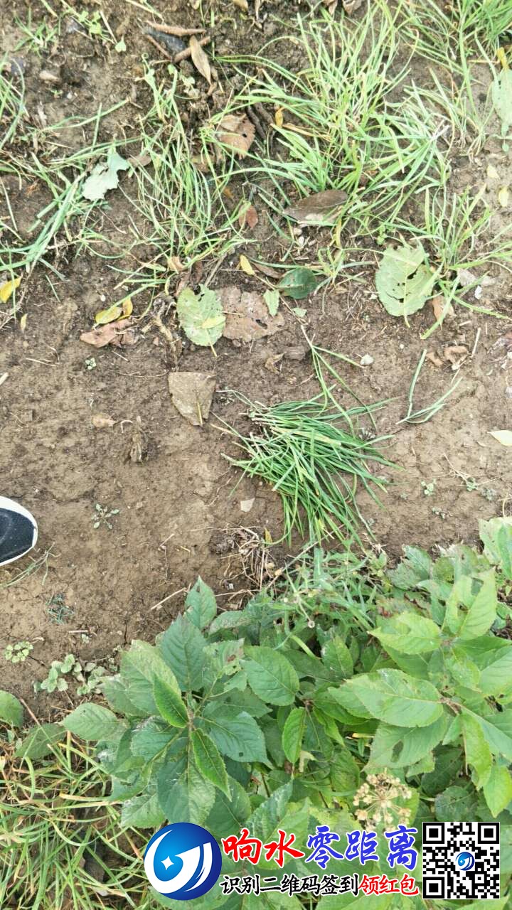 20191118_124361_1574044847804.jpg