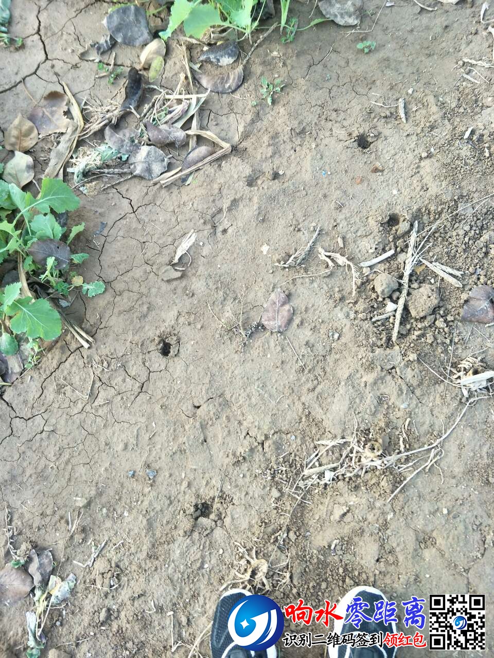 20191118_124361_1574044848729.jpg