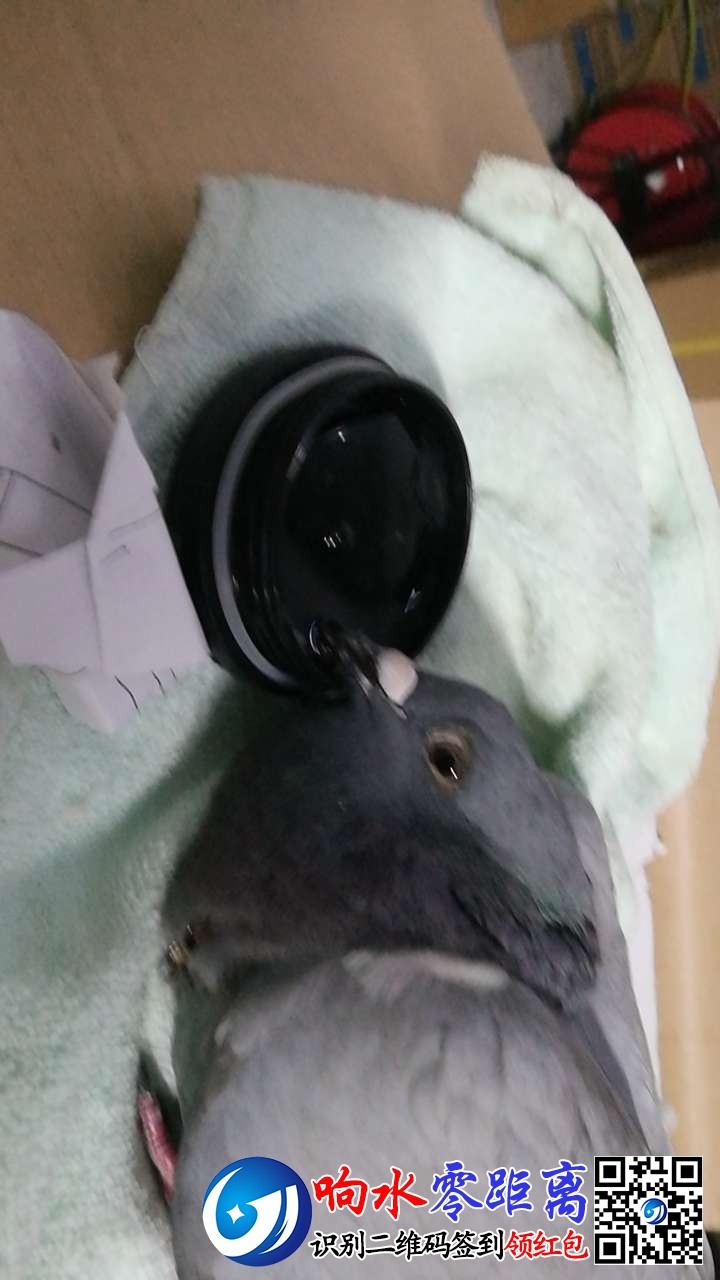 20191119_103019_1574126295940.jpg