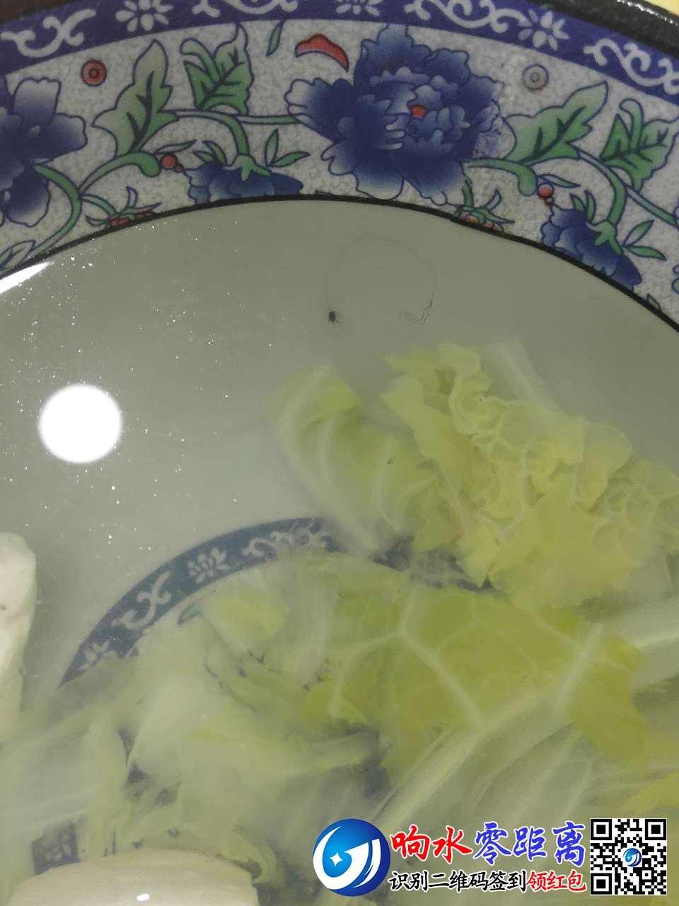 20191128_124478_1574917253955.jpg