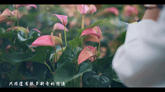 9b3041da9f7940e86ec568104164ad59.gif