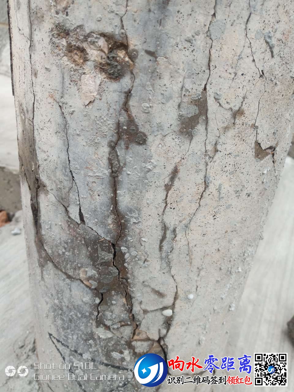 20191218_100233_1576622569621.jpg