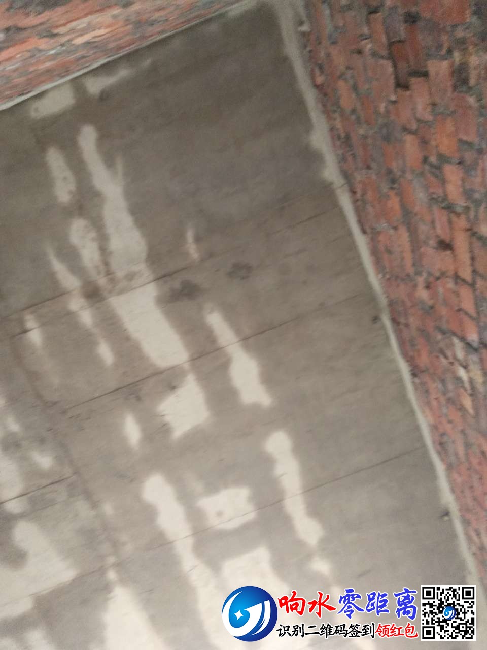 20200119_125060_1579403823534.jpg