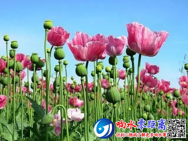 1e6c47787cf7cdb97b70ce273e4928cf.jpg