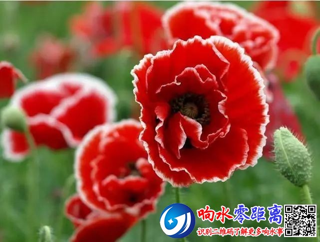 e1dbf940ac0fc7368d23b1df1f7c14c1.jpg