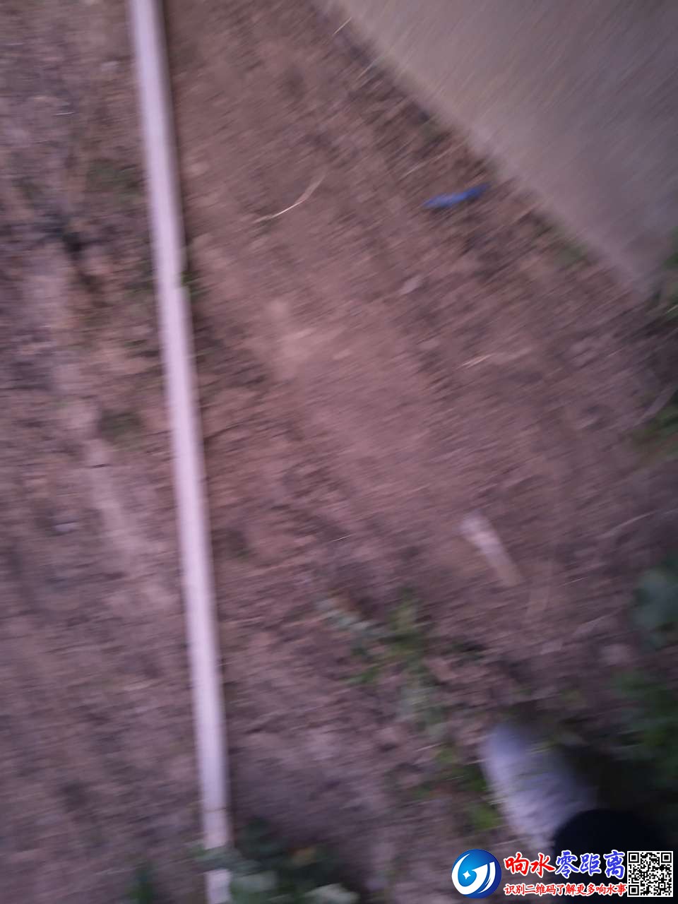20200324_99801_1585031726647.jpg