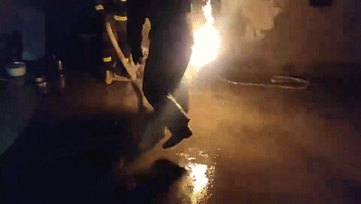 91558b70d50318a182128e5e2288c549.gif