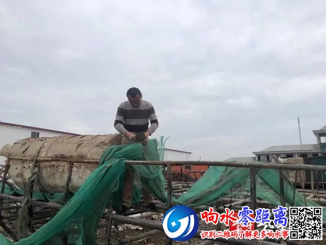 03bf98e7641ee67cdb611a375cf636b4.jpg