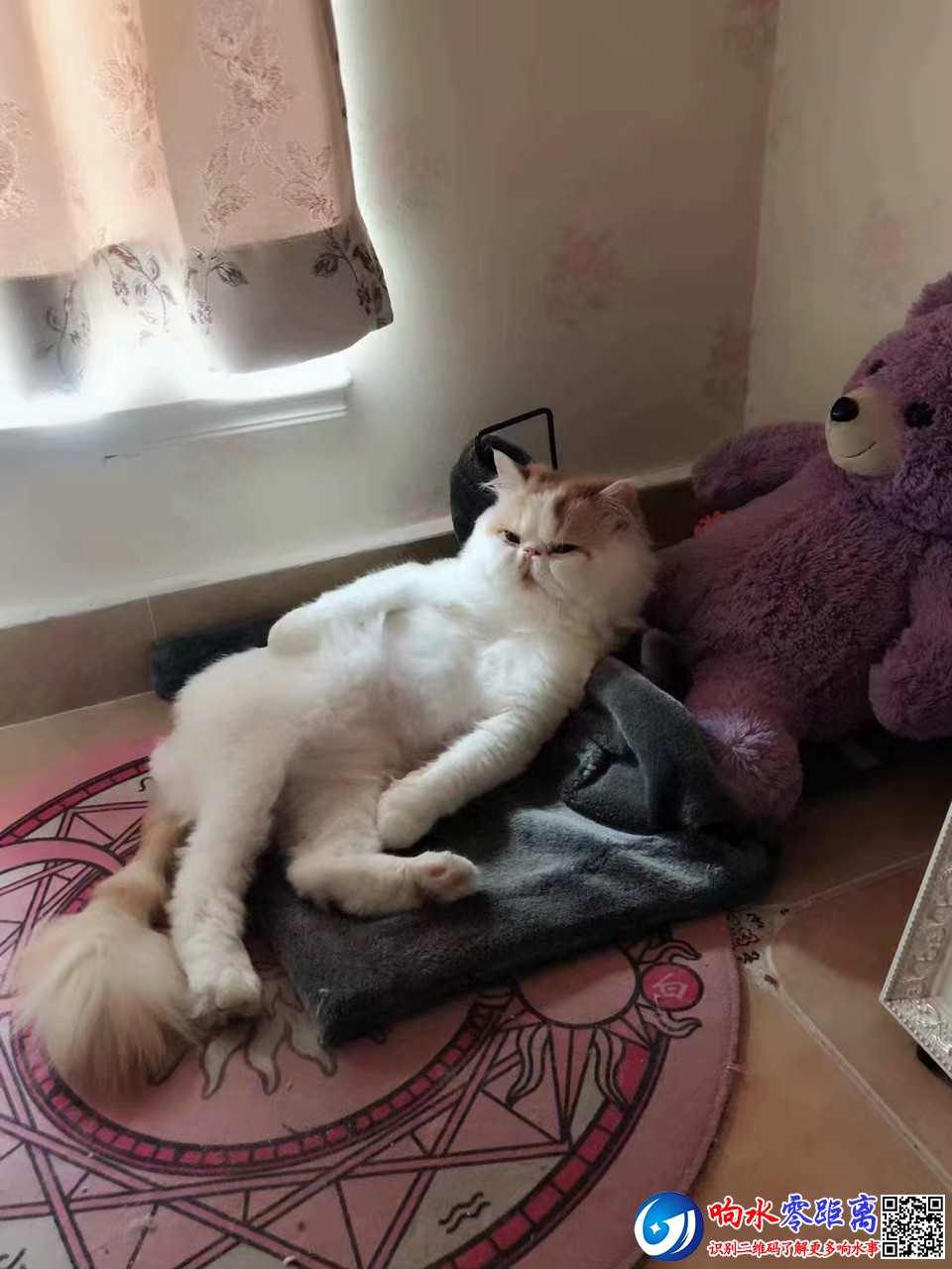 FiKQ6in_qhxtJwT3mKaOlu82t1tP.jpg