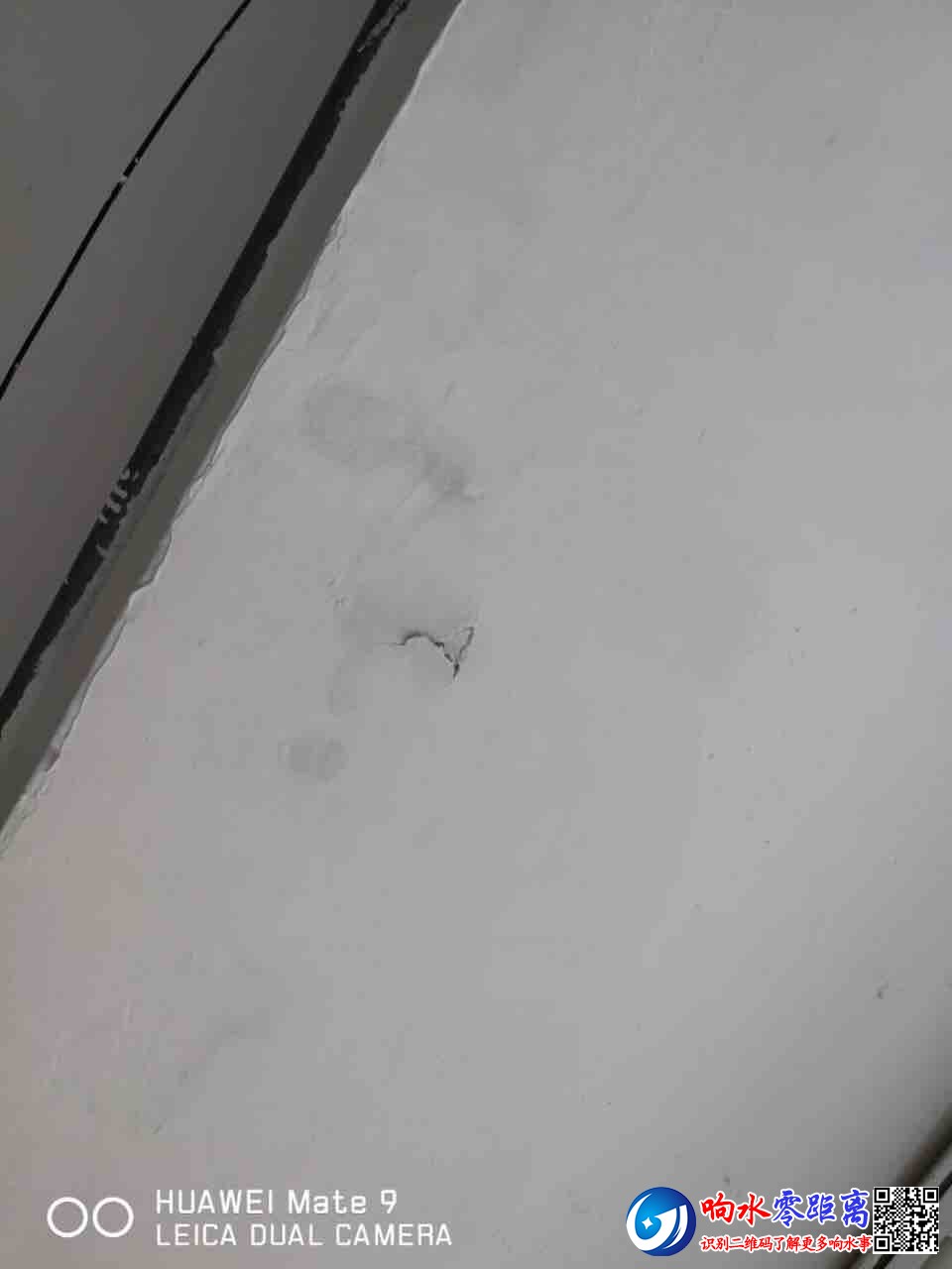 front1_0_FsjW6CtFBPBc5xPyzoyywvWOKgoT.1603086297.jpg