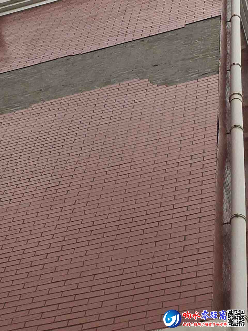front1_0_FpybjElhmebbZx75U3-I-V1PfmZK.1605058727.jpg