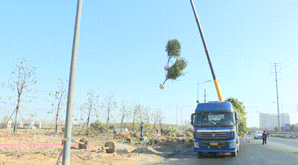 fc2984e82bfcb7171efb2567dada2a7a.gif