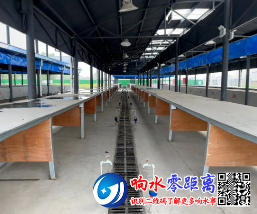 705a9a8f5c240c9bef557a5f1b005380.png