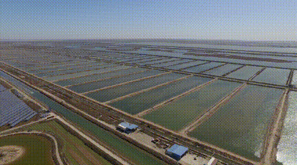 4d3607e12eed293960cc03128c42ecd2.gif