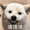 d6612faf0666f891e4105f08b5292ade.png