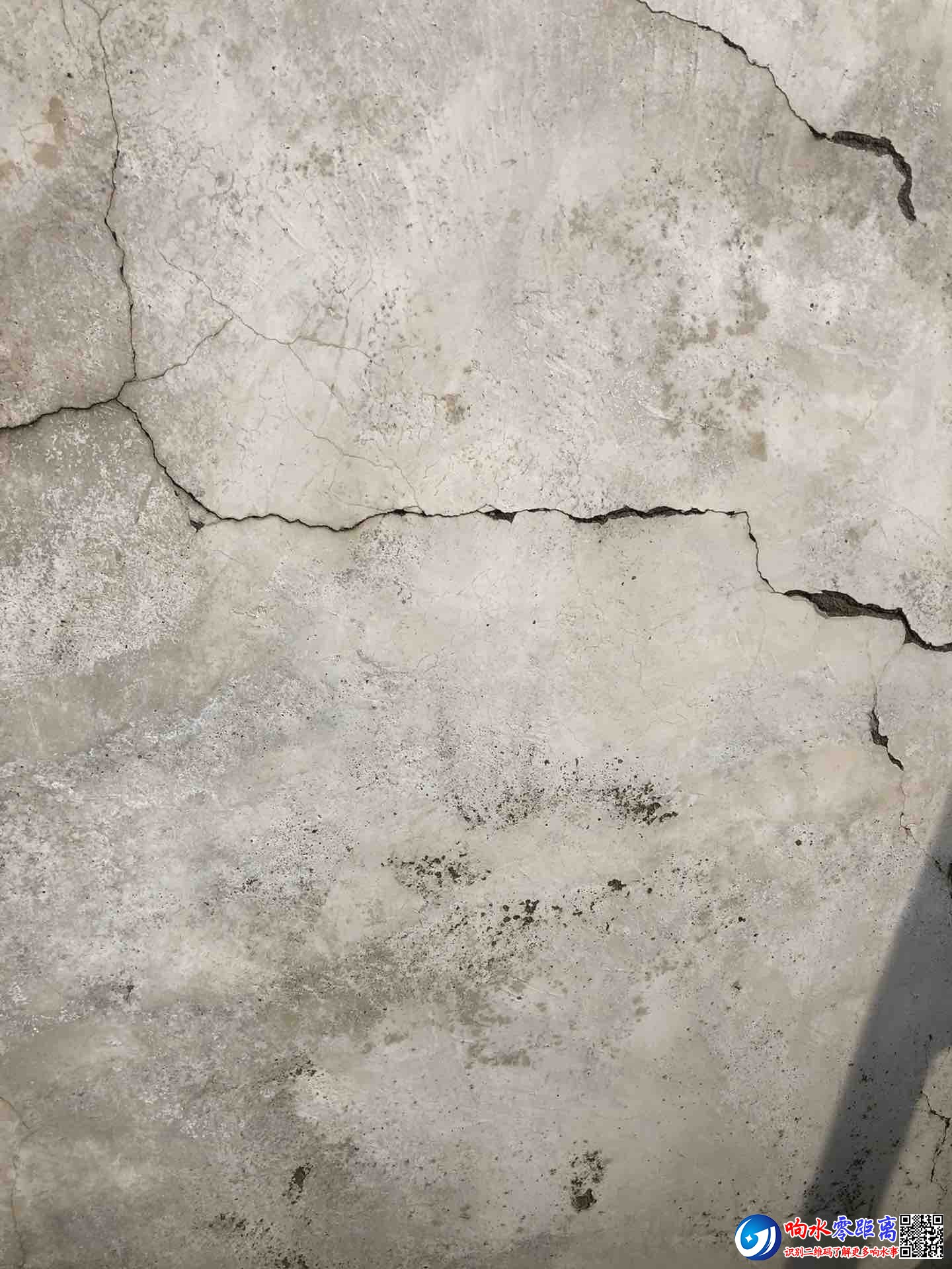 front1_0_Fo8I2YvSNRnM785DH1B6FJbbdVJ2.1631608740.jpg
