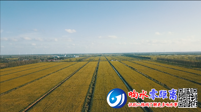 d8932b8697619502ad6a9551dadeb5b8.png