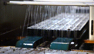 299cc2eb9f0bcb6fd09b81a51deedaf1.gif