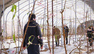 4c7987a4b5d863d1201e44fbd40c9c1f.gif