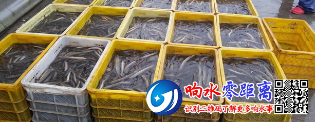 537cffa608840c5d23feb140d4fec380.png