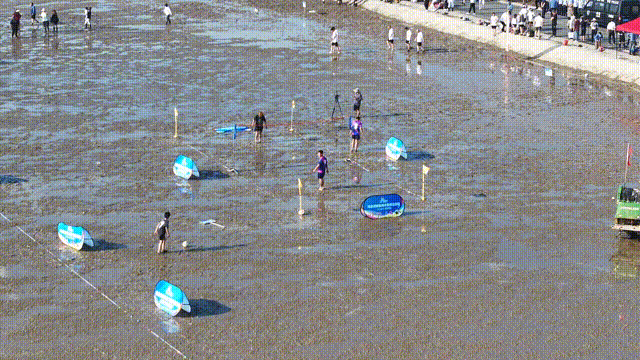 fc665ecac6920484f00d56a1e3a2b5f9.gif