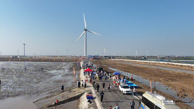 0887d08ded7ceb1cc3748130b2165705.gif