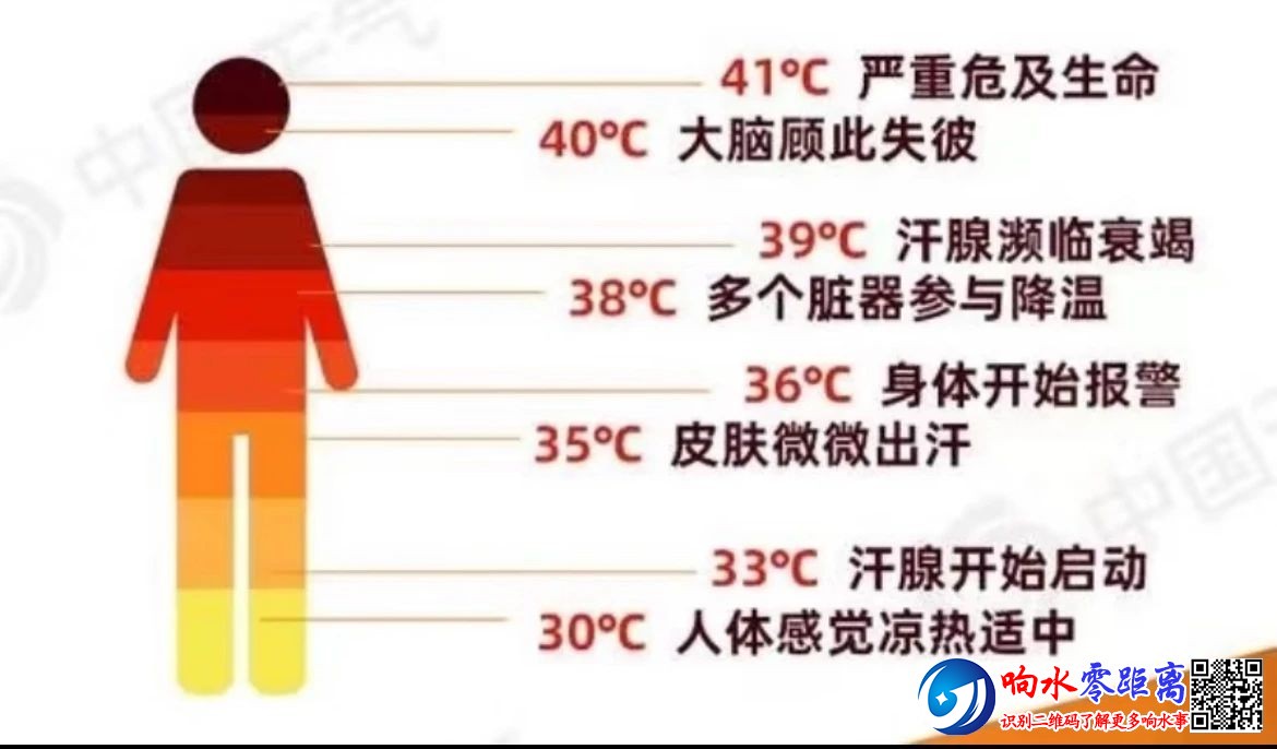 11f059a0f41acc67f9ed215c7df5e987.jpg